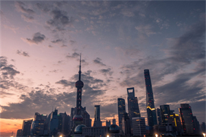 Evaluation of the effectiveness of Shanghai's agricultural subsidy policy